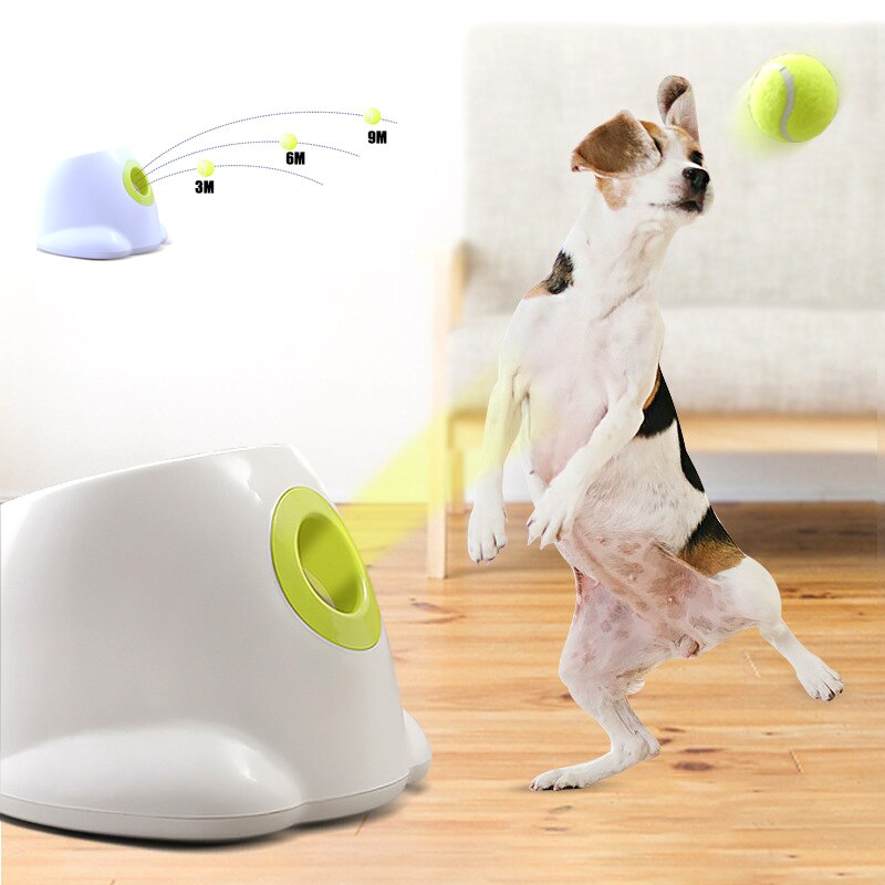Tennis Ball Launcher For Dogs